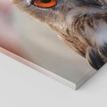 Obraz na płótnie 120x80 - Mądra sowa w locie - sowa, ptak