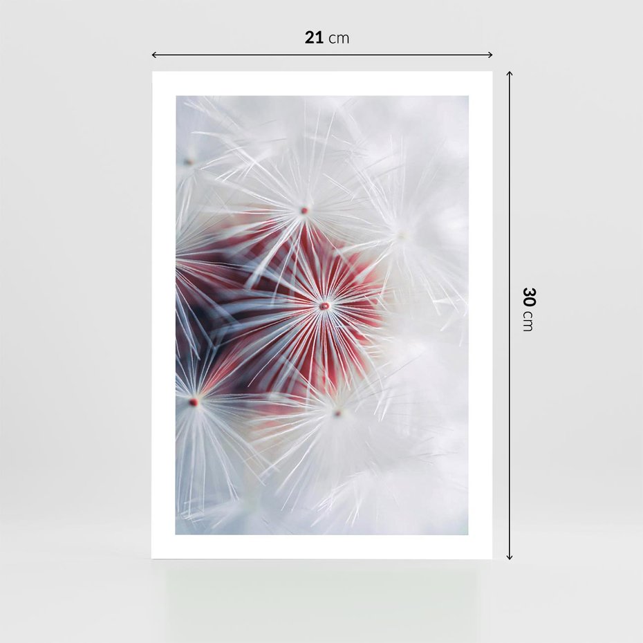 Plakat bez ramy 21x30 - Minimalistyczna Delikatność - zbliżenie, dmuchawce