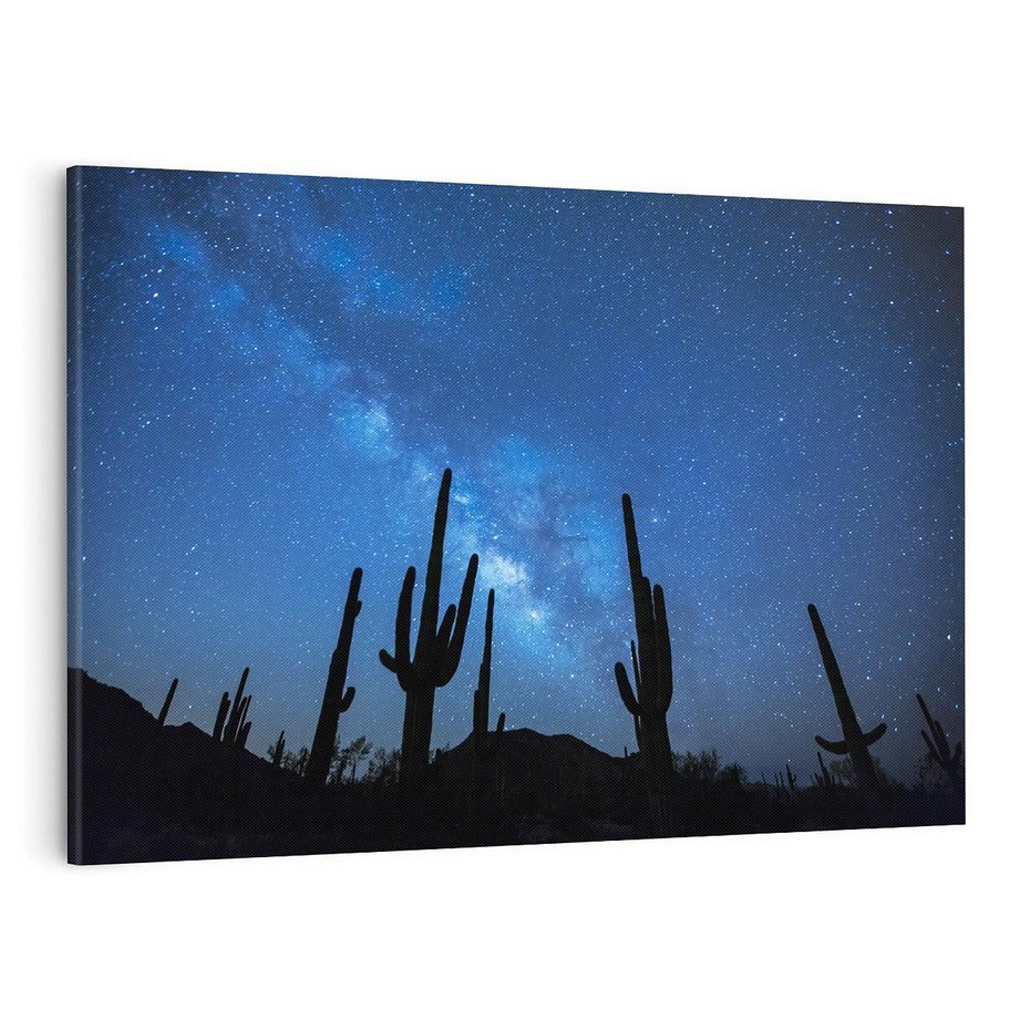 Obraz na płótnie 100x70 - Kaktusy - Niebo z gwiazdami - kaktusy, niebo