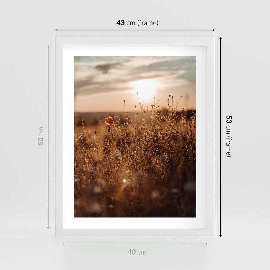 Plakat w ramie 40x50 - Zachwyt zachodem słońca na łące - zachód, słońca - rama biała