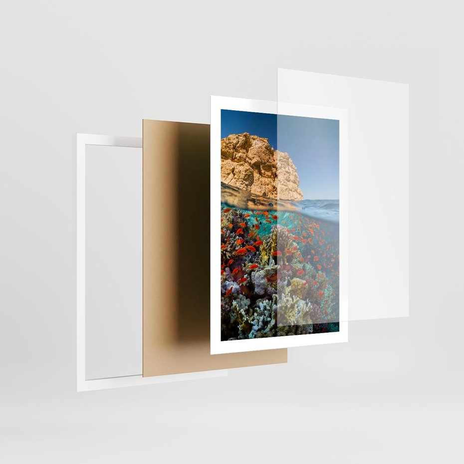 Plakat w ramie 50x70 - Rafa koralowa w oceanie - rafa, koralowa - rama biała