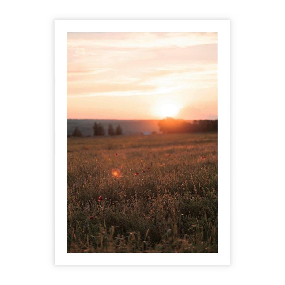 Plakat bez ramy 30x40 - Łąka we Wschodzącym Słońcu: Magia Poranka - łąka, krajobraz