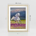 Plakat w ramie 30x40 - Koń Góry: Spotkanie z Wielką Przyrodą - koń, góry - rama drewno