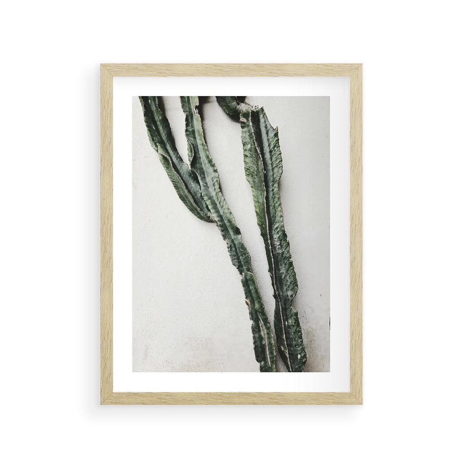 Plakat w ramie 30x40 - Zielona Roślina z Liśćmi - zielona roślina, liście - rama drewno