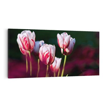 Obraz na płótnie 120x60 - Kwiatowy raj w naturze - kwiat, kwiaty