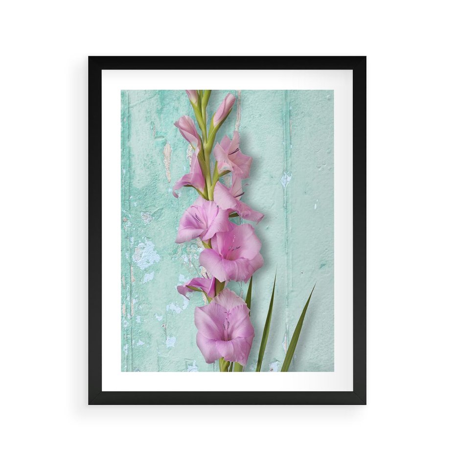 Plakat w ramie 40x50 - Piękno w delikatności - kwiaty, różowe - rama czarna