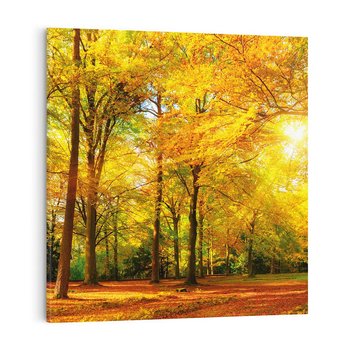 Obraz na płótnie 40x40 - Urok jesiennego lasu - las, drzewa