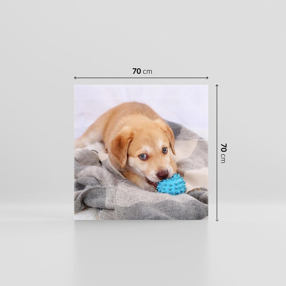 Obraz na płótnie 70x70 - Radość w zabawie: Piesek jako najlepszy przyjaciel - pies, piesek