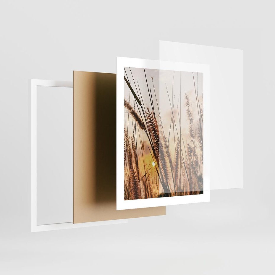 Plakat w ramie 40x50 - Malownicza Łąka z Trawam - trawy, łąka - rama biała