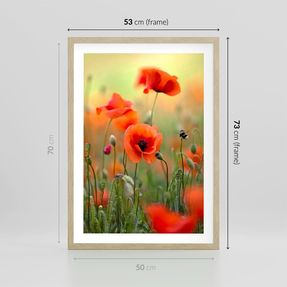 Plakat w ramie 50x70 - Makowa Pasja - maki, kwiaty - rama drewno