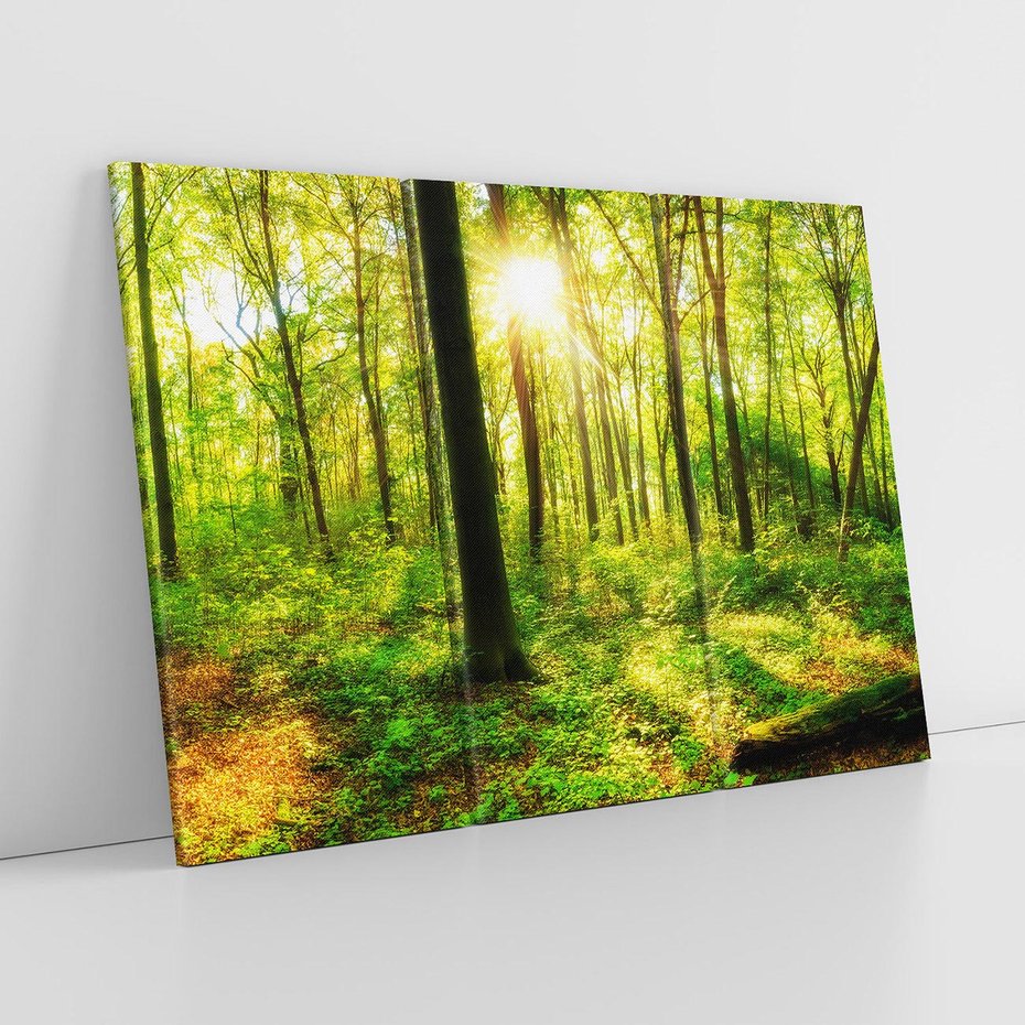 Obraz na płótnie 120x80 - Mistyfikujący las - las, drzewa