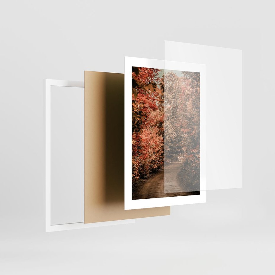 Plakat w ramie 30x40 - Obraz przedstawia jesienne drzewa i czerwone liście na ścieżce w lesie. Ta sceneria doskonale oddaje urok i kolorystykę jesieni w lesie. - las, jesień - rama biała