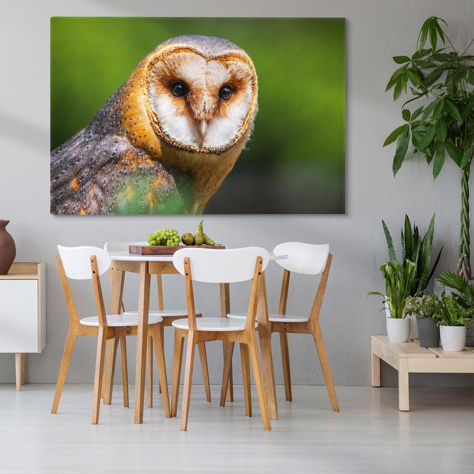 Obraz na płótnie 120x80 - Sowa nocą - sowa, ptak