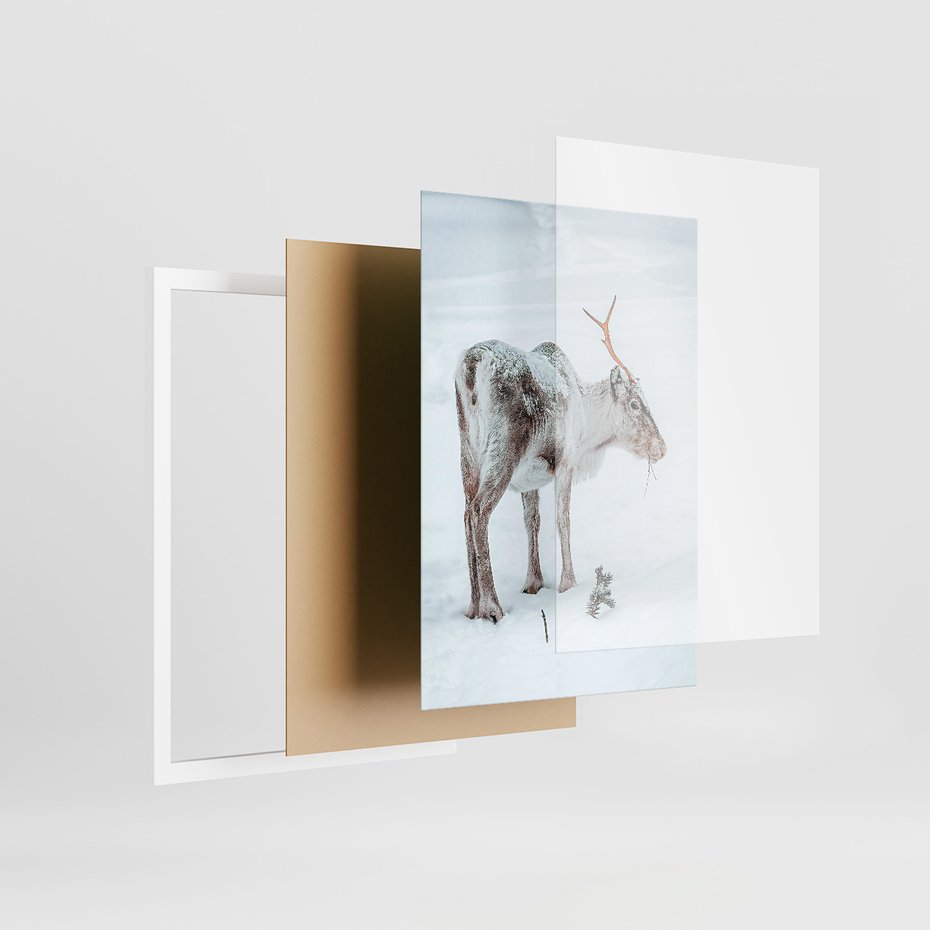 Zestaw obrazy w ramie 30x40 galeria - Zimowy, widok, renifer - rama biała