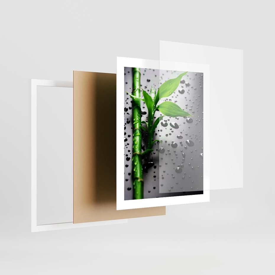 Plakat w ramie 40x50 - Bambusowa Harmonia - bambus, liście - rama biała