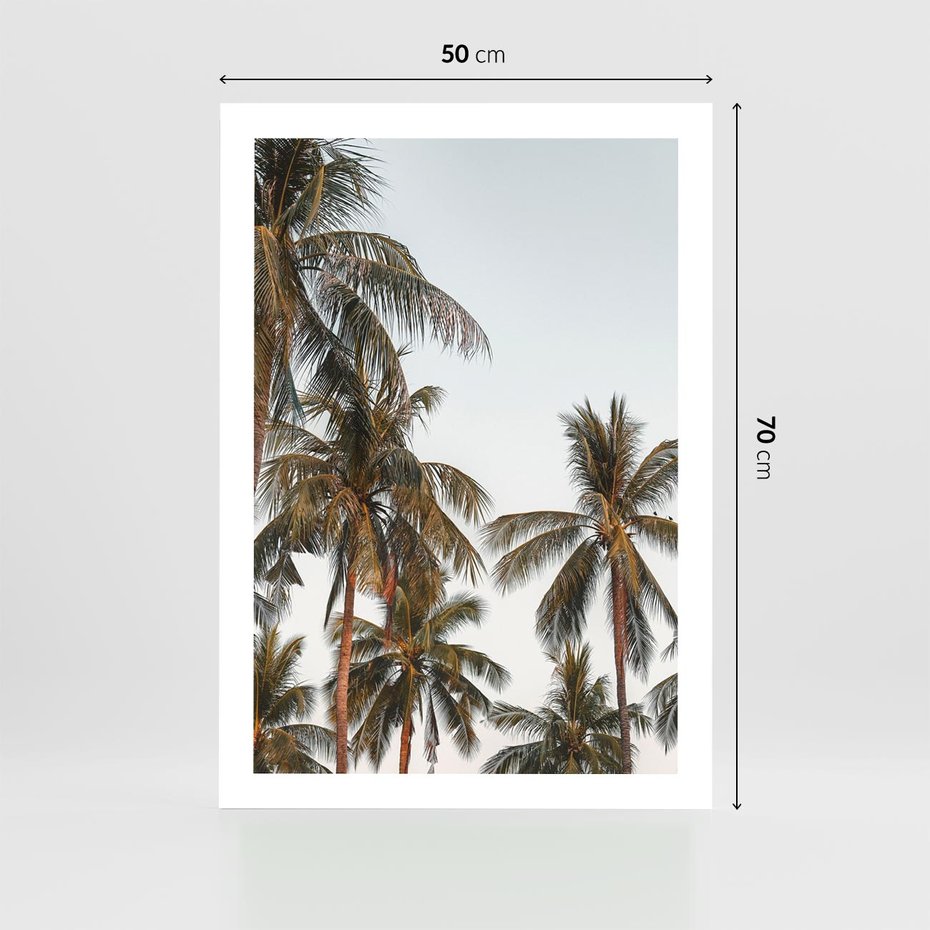 Plakat bez ramy 50x70 - Palmy - tęsknota za Hawajami - palmy, Hawaje