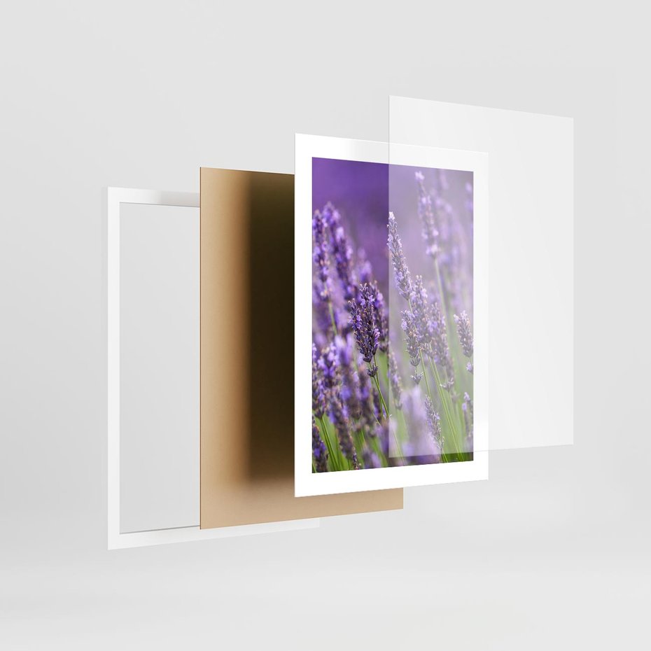 Plakat w ramie 30x40 - Urok lawendy - lawenda, kwiaty - rama biała