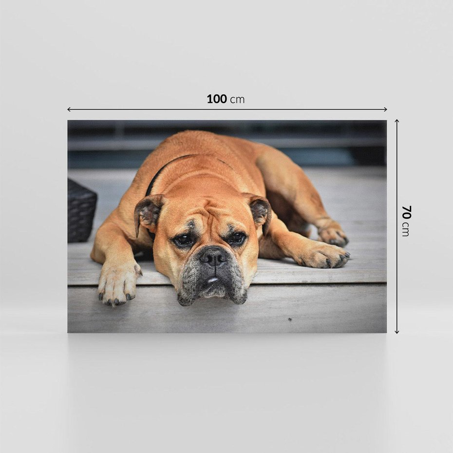 Obraz na płótnie 100x70 - Wernisaż piesek i zwierzaki - pies, piesek