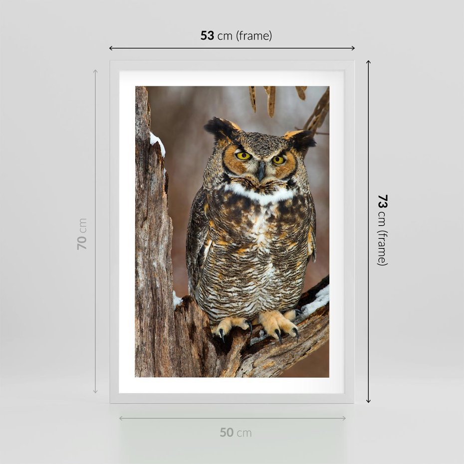 Plakat w ramie 50x70 - Tajemniczy Stróż - sowa, las - rama biała
