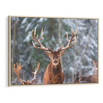 Obraz w ramie 120x80 - Monarcha Zimowej Dziczy - jeleń, zima - rama drewno