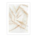 Plakat bez ramy 30x40 - Pampas w Stylu Boho: Kompozycja Natury - suche trawy, pampas