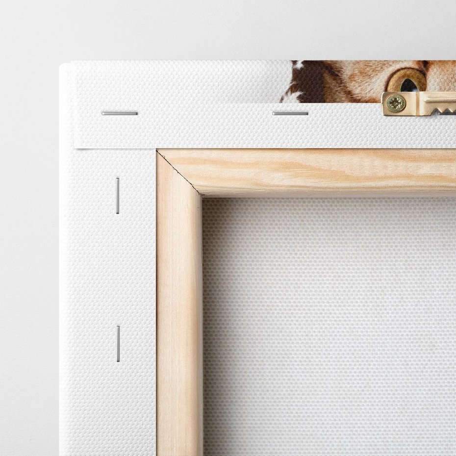 Obraz na płótnie 50x70 - Kot w Dziurze - kot, dziura