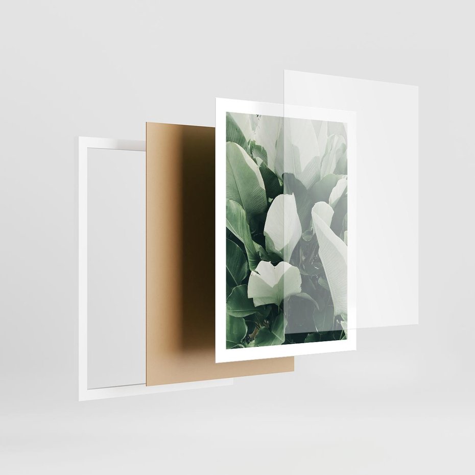 Plakat w ramie 50x70 - Zgaszona Uroda Natury - zielone liście, zgaszona zieleń - rama biała