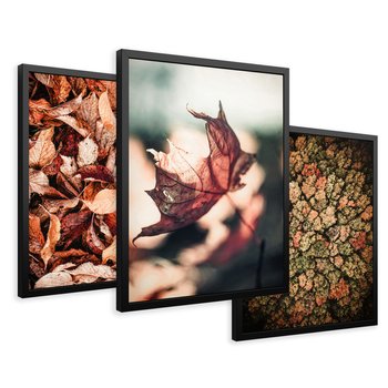 Zestaw obrazy w ramie 40x50 galeria - Jesienny, las, liście - rama czarna