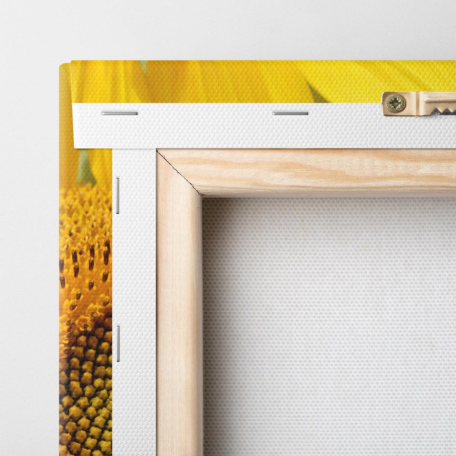 Obraz na płótnie 120x80 - Słoneczniki: Promień nadziei - słoneczniki, kwiaty