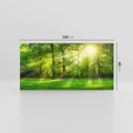 Obraz na płótnie 120x60 - Moc lasu - las, drzewa
