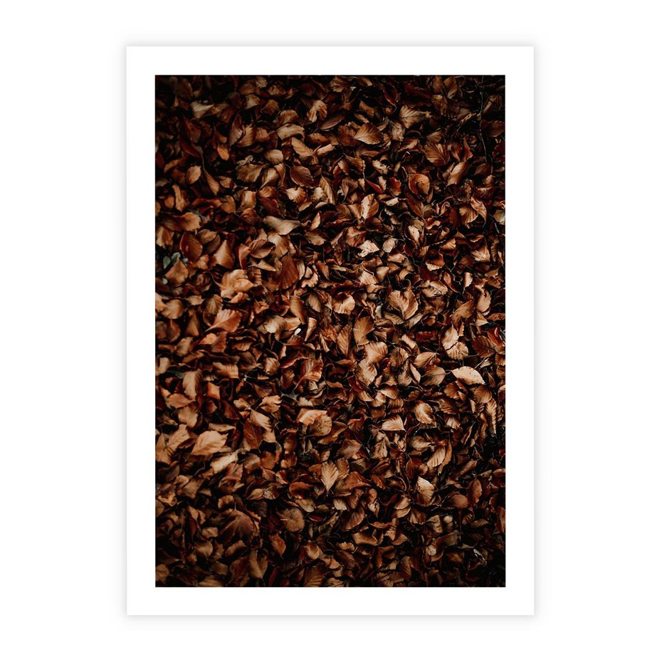 Plakat bez ramy 21x30 - Jesienny Dywan - dywan z suchych liści, jesień