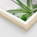 Plakat w ramie 40x50 - Zielone Piękno - aloes, liście - rama drewno