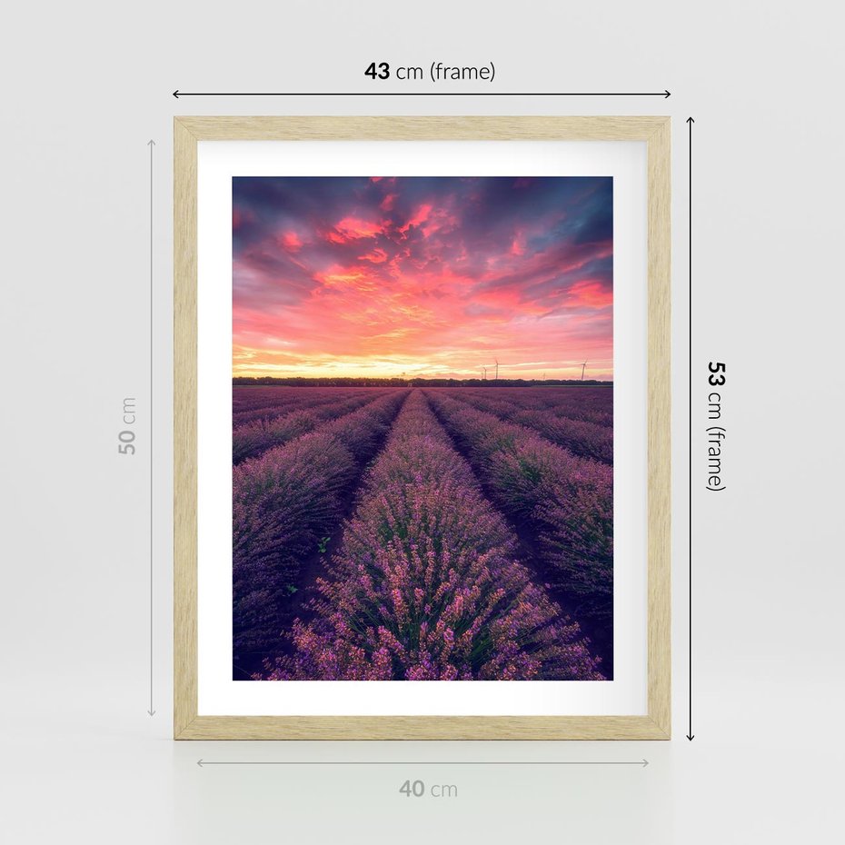 Plakat w ramie 40x50 - Różowe Niebo nad Polami - pola lawendy, zachód słońca - rama drewno