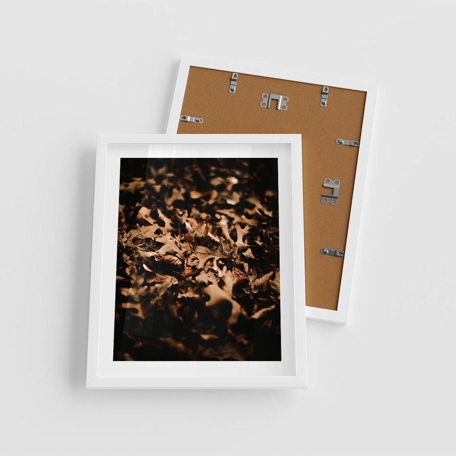 Plakat w ramie 40x50 - Jesienne Liście: Nostalgiczna Kolorystyka - suche liście, jesień - rama biała