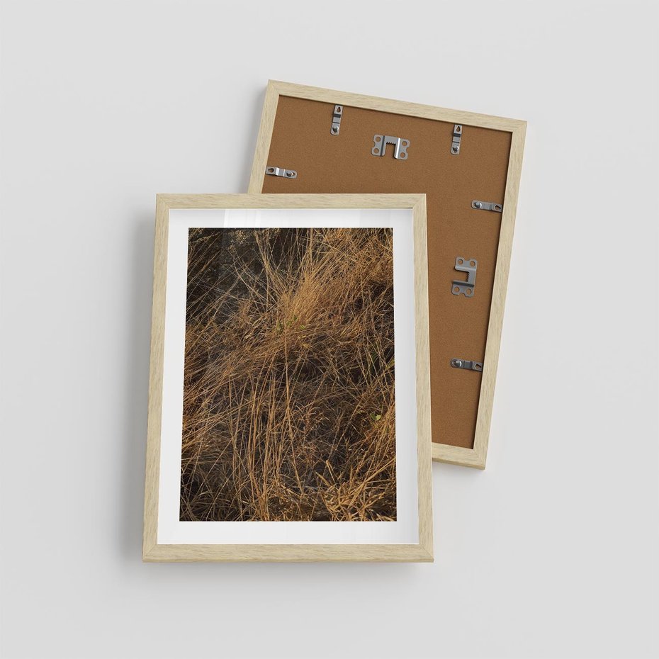 Plakat w ramie 30x40 - Szlachetna Suchość Traw - trawy, suche trawy - rama drewno