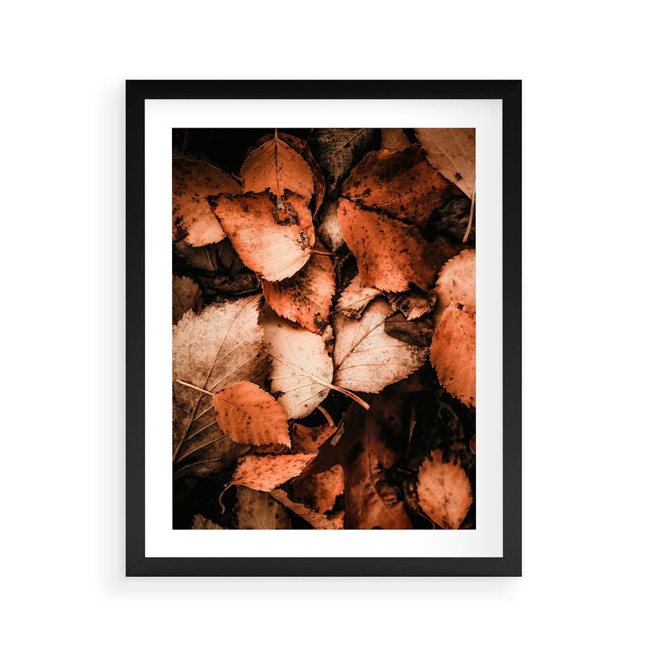 Plakat w ramie 40x50 - Jesienna Paleta - liście, jesień - rama czarna