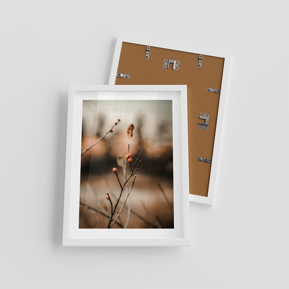 Plakat w ramie 30x40 - Jarzębina w Pejzażu - jesień, gałązka - rama biała