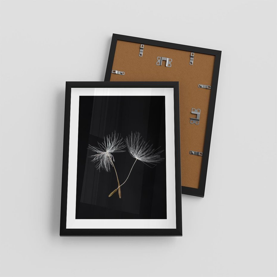 Plakat w ramie 30x40 - Delikatność Wiatru - dmuchawce, makro - rama czarna