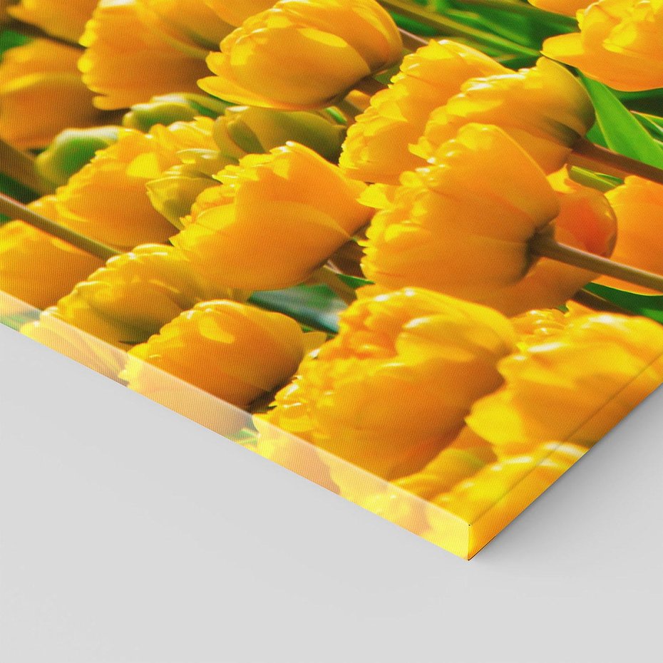 Obraz na płótnie 120x80 - kwiatowa elegancja - tulipany, kwiat