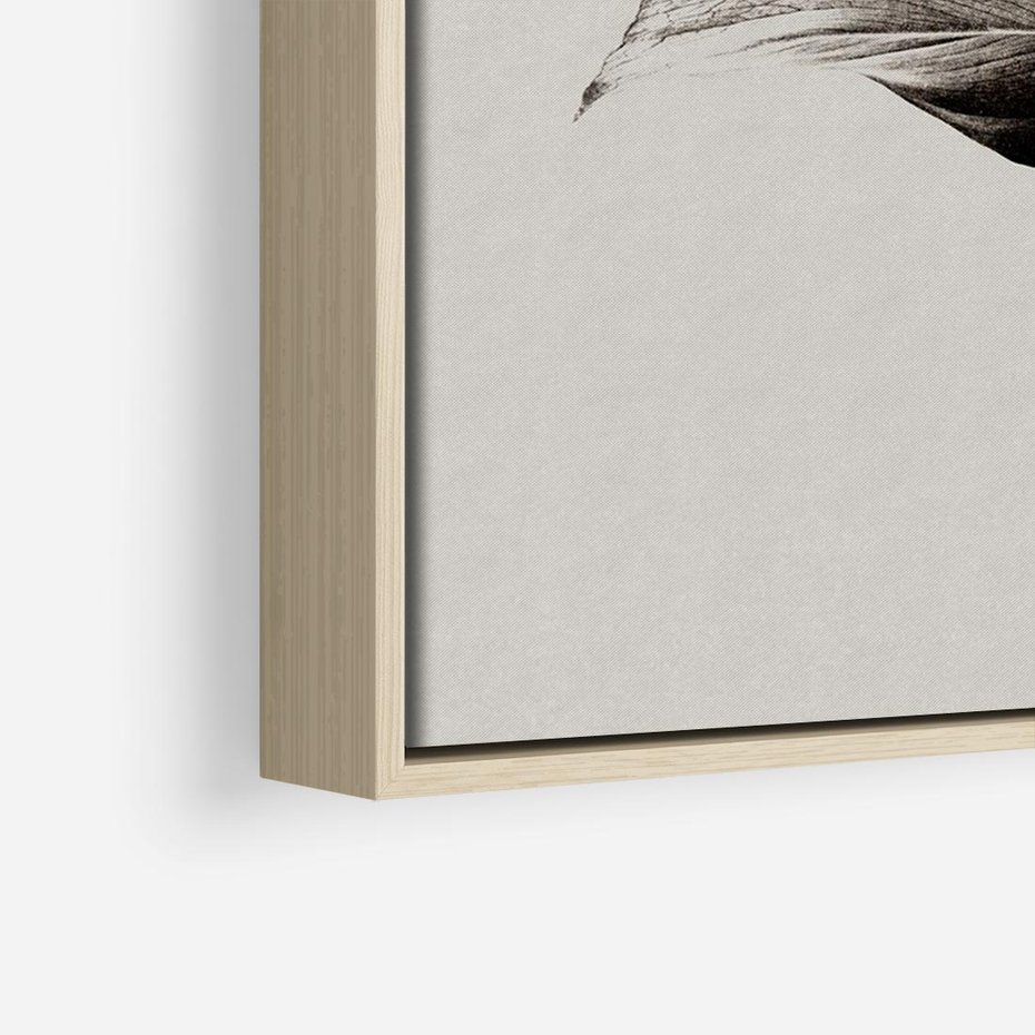 Obraz w ramie 70x50 - Szepczący Liść - szkic, czarno biały - rama drewno