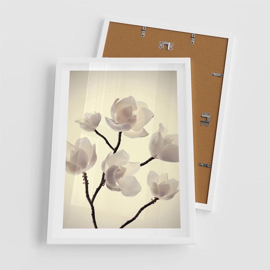 Plakat w ramie 50x70 - Elegancja Natury - magnolia, białe - rama biała
