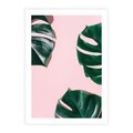 Plakat bez ramy 21x30 - Siła Natury - liście, monstera