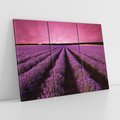 Obraz na płótnie 120x80 - Pola lawendy w pełnym rozkwicie - Lawenda, krajobraz