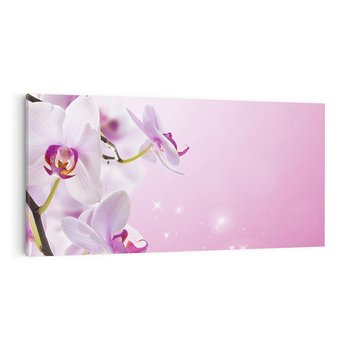 Obraz na płótnie 140x70 - Relaksujące Piękno - kwiaty, orchidea