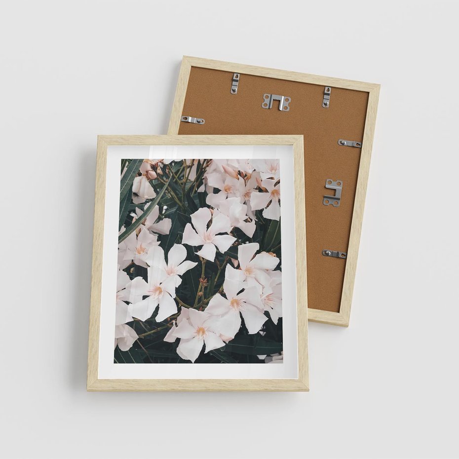 Plakat w ramie 40x50 - Egzotyczna Uroda - białe kwiaty, tropikalne kwiaty - rama drewno