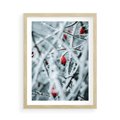 Plakat w ramie 50x70 - Zima na Gałęziach - zima, oszronione gałęzie - rama drewno