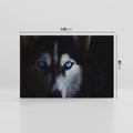 Obraz na płótnie 120x80 - Wilk i husky: siła przyjaźni - wilk, husky