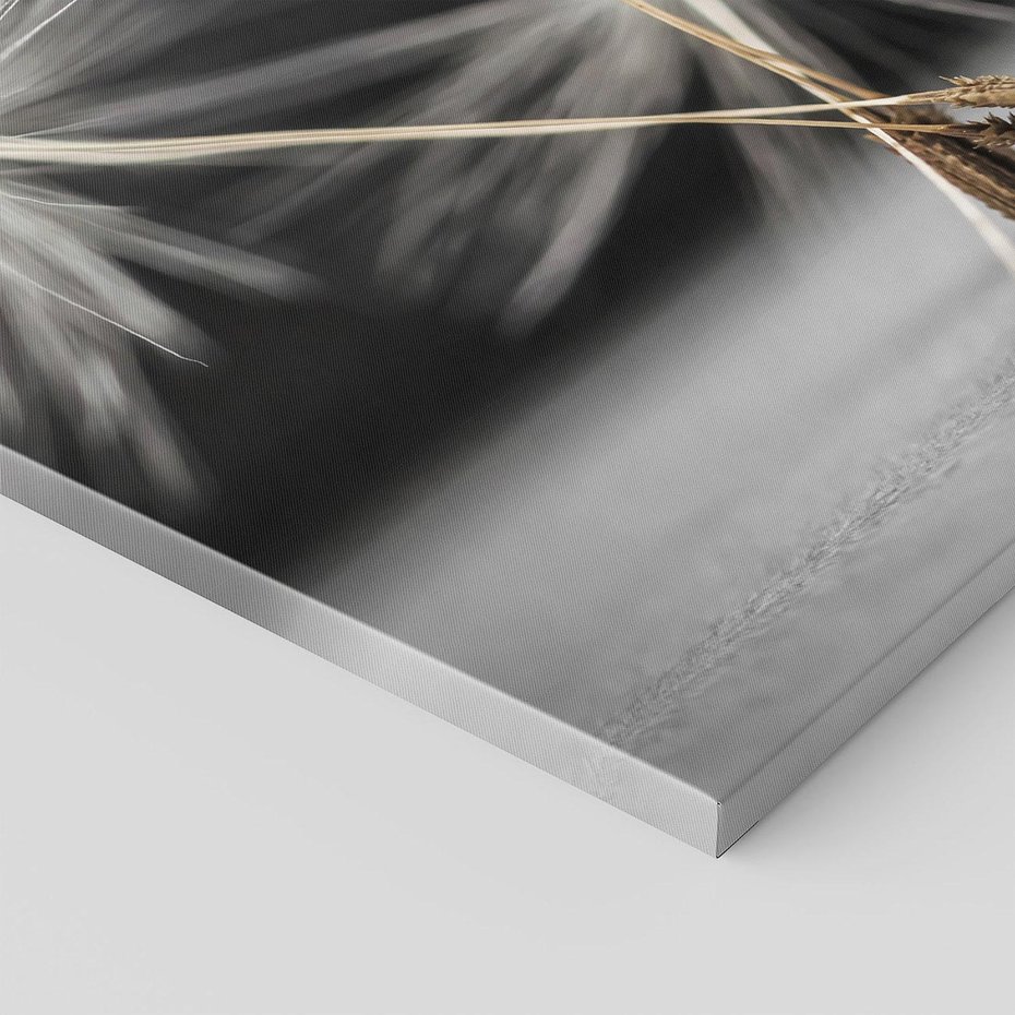 Obraz na płótnie 80x120 - Delikatność dmuchawców zbliżenie - dmuchawce, zbliżenie