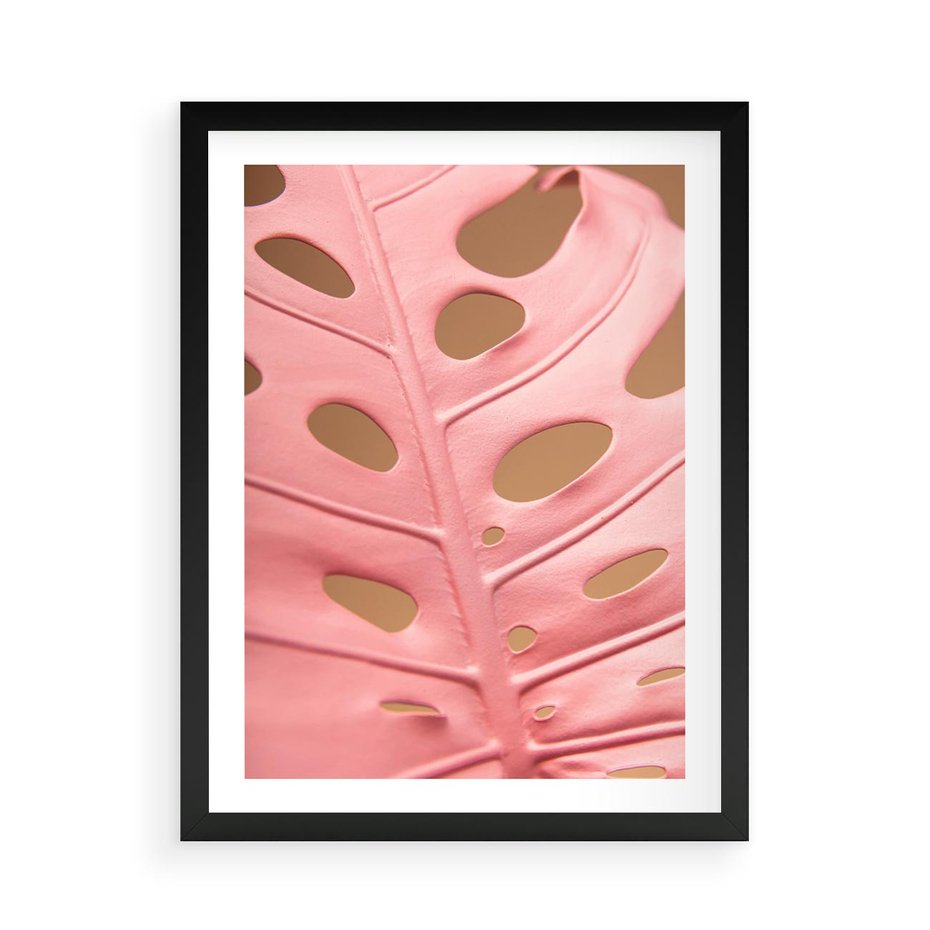 Plakat w ramie 50x70 - Różowa monstera w pełnym rozkwicie - różowa, monstera - rama czarna