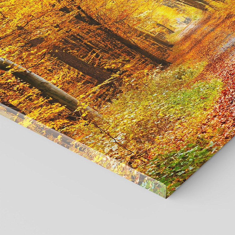 Obraz na płótnie 30x30 - Jesień w lesie - las, drzewa